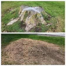 Stump-Grinding-in-Monroeville-IN-1 1