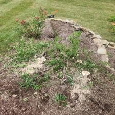 Stump-Grinding-Magic-in-Fort-Wayne 3