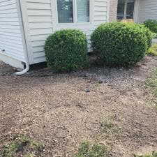 Stump-Grinding-Magic-in-Fort-Wayne 0