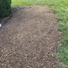 Stump-Grinding-Magic-in-Fort-Wayne 2