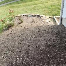 Stump-Grinding-Magic-in-Fort-Wayne 4