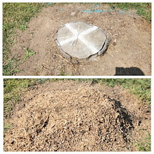 Stump-Grinding-Project-in-Hoagland-Indiana 0