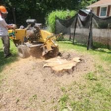 Stump-Grinding-Transformation-in-New-Haven-Indiana 0