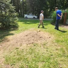 Stump-Grinding-Transformation-in-New-Haven-Indiana 2