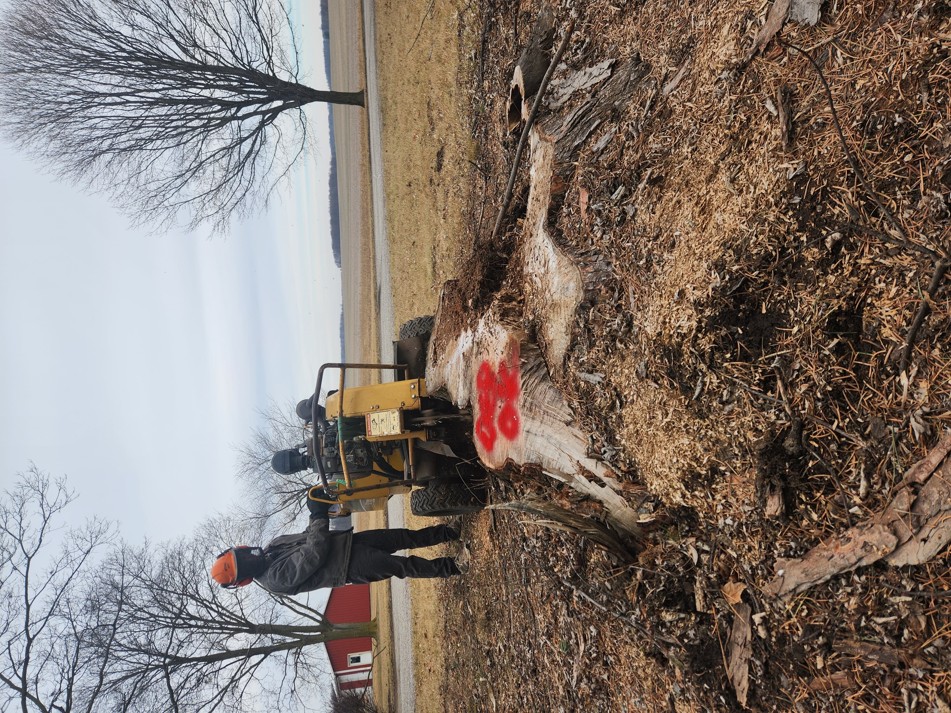 Top Quality Stump Grinding in Decatur, IN