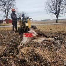 Top-Quality-Stump-Grinding-in-Decatur-IN 0