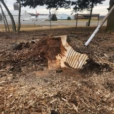 Top-Quality-Stump-Grinding-in-Decatur-IN 1