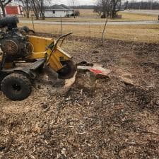 Top-Quality-Stump-Grinding-in-Decatur-IN 2