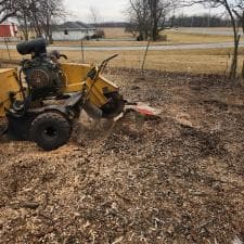 Top-Quality-Stump-Grinding-in-Decatur-IN 3