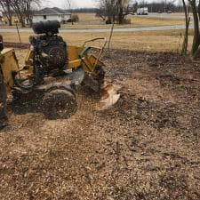 Top-Quality-Stump-Grinding-in-Decatur-IN 6