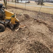 Top-Quality-Stump-Grinding-in-Decatur-IN 7