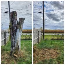 Top-Quality-Stump-Grinding-in-New-Haven-Indiana 0