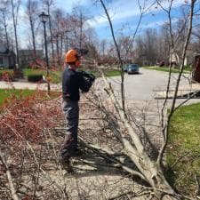 Tree-Removal-in-Hoagland-IN 0