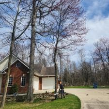 Tree-Removal-in-Hoagland-IN 1