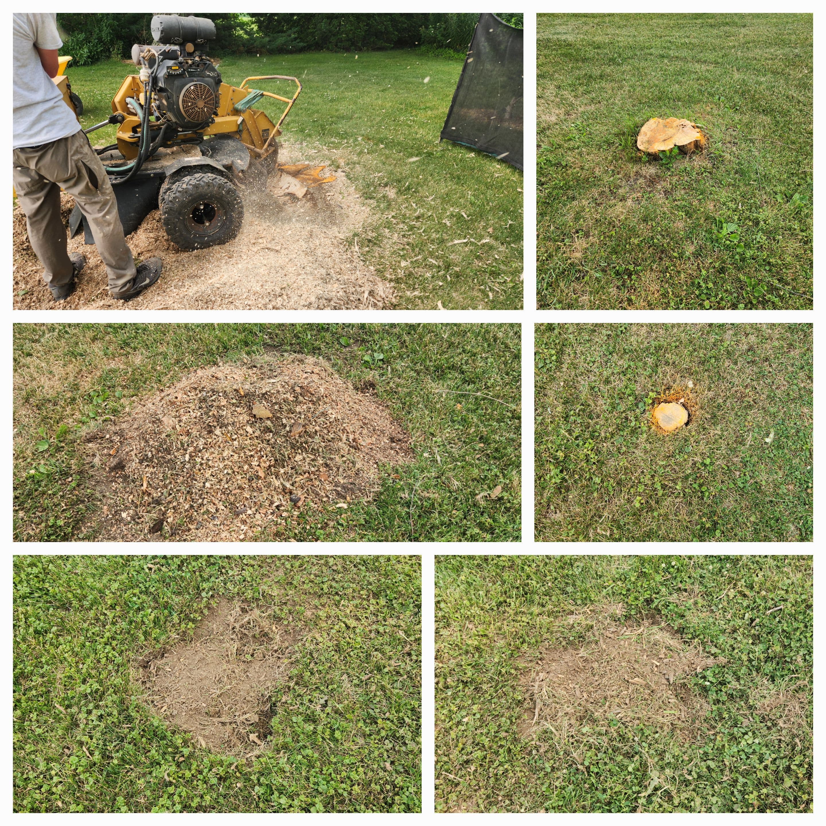 Your Trusted Experts for Stump Grinding & Pressure Washing in Decatur, IN